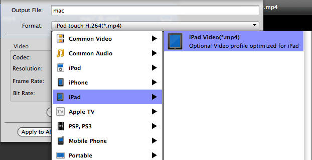 Choose iPad format
