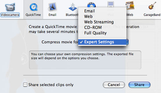 dvd to imovie