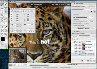 Free Mac Image Editor - Choco Flop